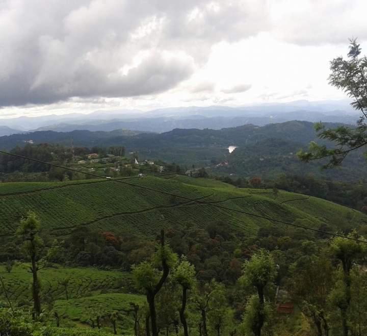 Munnar Lush Greens Eksteriør billede