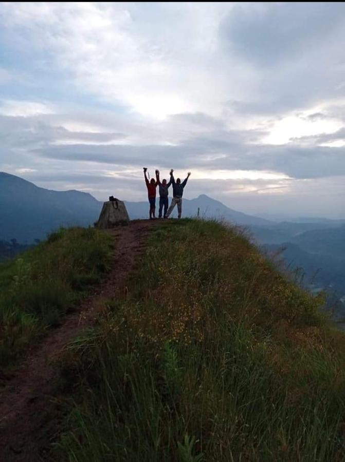 Munnar Lush Greens Eksteriør billede